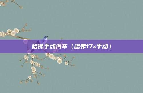 哈佛手动汽车（哈弗f7×手动）