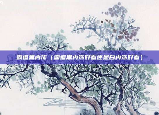霸道黑内饰（霸道黑内饰好看还是白内饰好看）