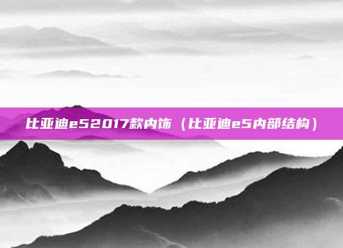 比亚迪e52017款内饰(比亚迪e5内部结构)