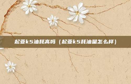 起亚k5油耗高吗（起亚k5耗油量怎么样）