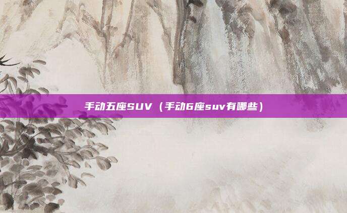 手动五座SUV(手动6座suv有哪些)