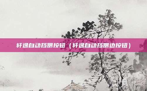 轩逸自动挡侧按钮（轩逸自动挡侧边按钮）