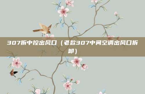307拆中控出风口（老款307中间空调出风口拆卸）