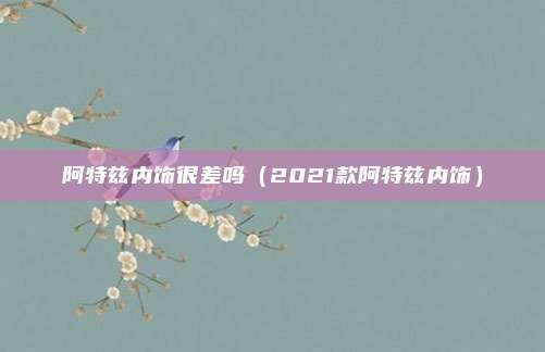 阿特兹内饰很差吗（2021款阿特兹内饰）
