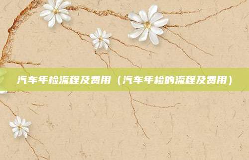 汽车年检流程及费用（汽车年检的流程及费用）