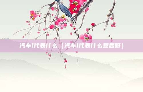 汽车l代表什么（汽车l代表什么意思呀）