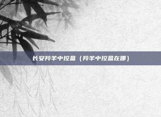 长安羚羊中控盒（羚羊中控盒在哪）