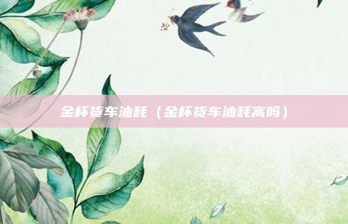 金杯货车油耗（金杯货车油耗高吗）