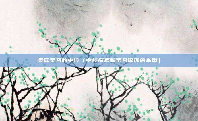 类似宝马的中控（中控屏幕和宝马很像的车型）