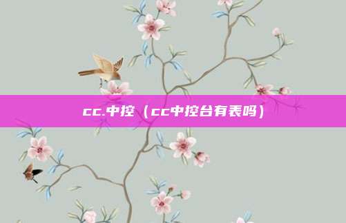 cc.中控（cc中控台有表吗）