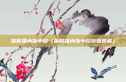 保时捷内饰中控（保时捷内饰中控按键图解）