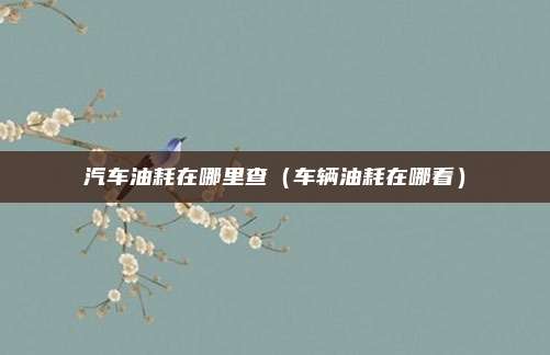 汽车油耗在哪里查（车辆油耗在哪看）