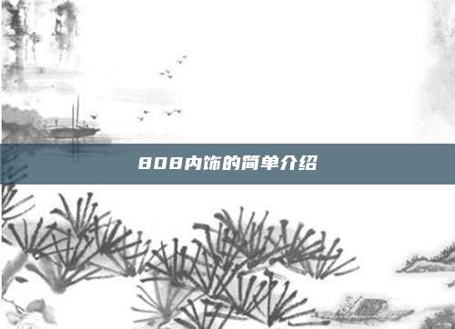 808内饰的简单介绍