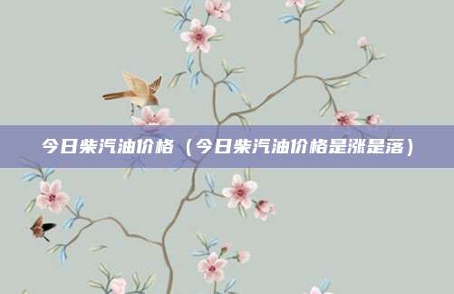今日柴汽油价格(今日柴汽油价格是涨是落)