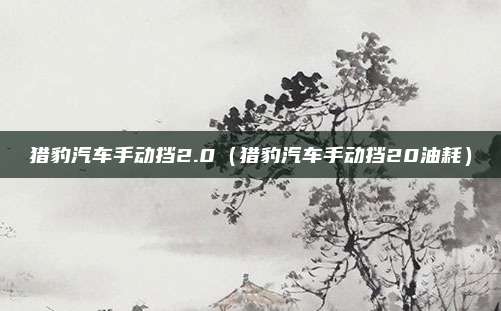 猎豹汽车手动挡2.0(猎豹汽车手动挡20油耗)