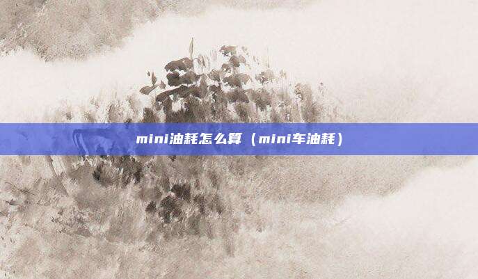 mini油耗怎么算(mini车油耗)
