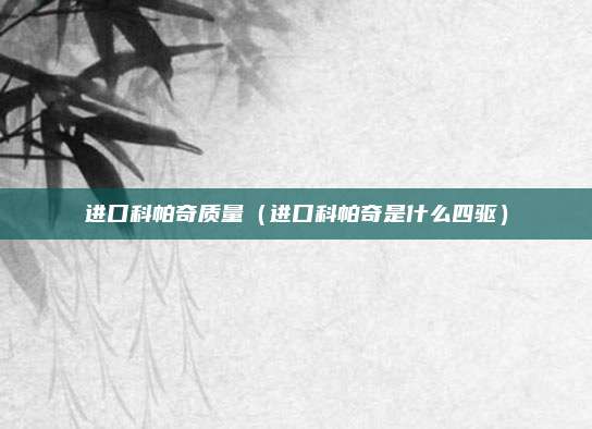 进口科帕奇质量（进口科帕奇是什么四驱）