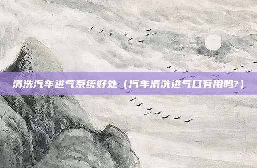 清洗汽车进气系统好处（汽车清洗进气口有用吗?）