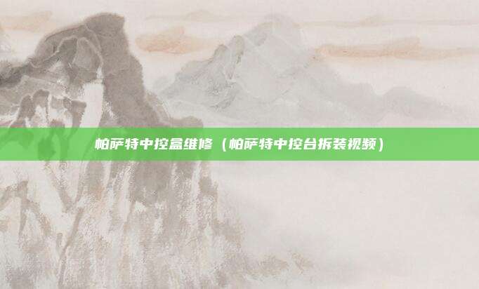 帕萨特中控盒维修（帕萨特中控台拆装视频）