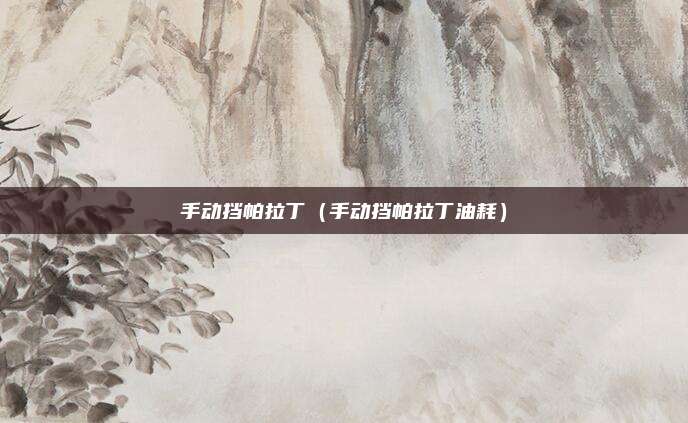 手动挡帕拉丁（手动挡帕拉丁油耗）