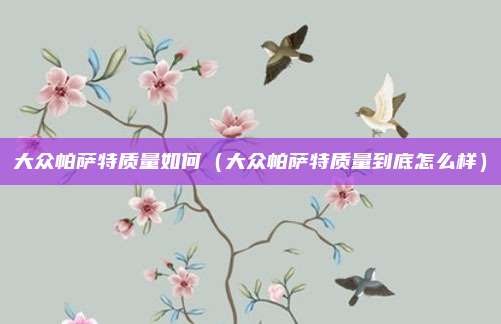 大众帕萨特质量如何（大众帕萨特质量到底怎么样）