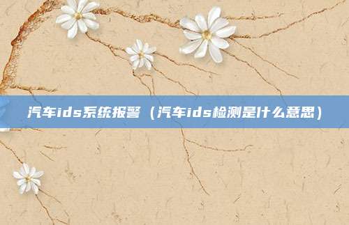 汽车ids系统报警（汽车ids检测是什么意思）
