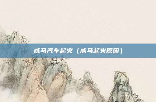 威马汽车起火(威马起火原因)