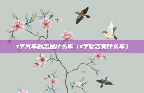t字汽车标志是什么车(t字标志有什么车)