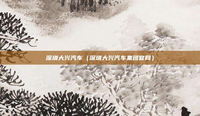 深圳大兴汽车(深圳大兴汽车集团官网)