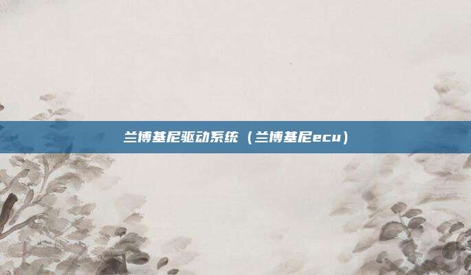兰博基尼驱动系统（兰博基尼ecu）