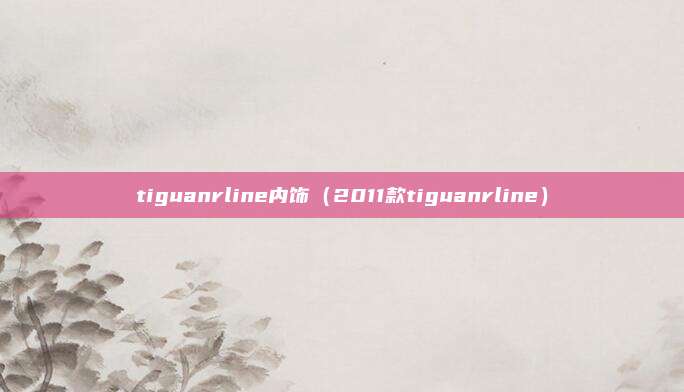 tiguanrline内饰（2011款tiguanrline）