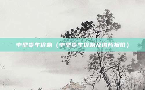中型货车价格（中型货车价格及图片报价）