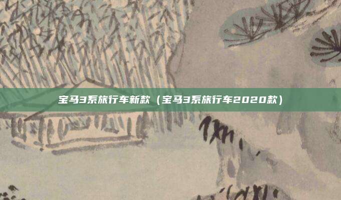 宝马3系旅行车新款（宝马3系旅行车2020款）