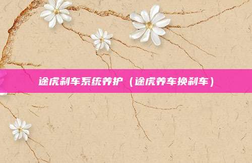 途虎刹车系统养护（途虎养车换刹车）