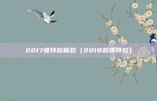 2017维特拉新款（2018款维特拉）