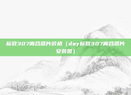标致307离合器片价格（day标致307离合器片安装图）