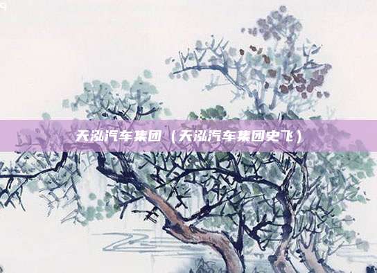 天泓汽车集团（天泓汽车集团史飞）