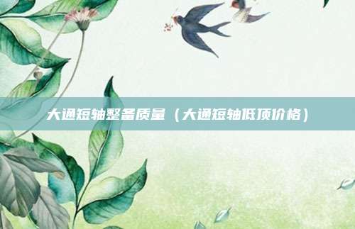 大通短轴整备质量（大通短轴低顶价格）