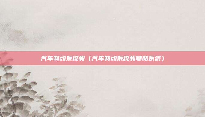 汽车制动系统和（汽车制动系统和辅助系统）