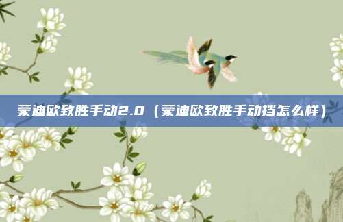 蒙迪欧致胜手动2.0（蒙迪欧致胜手动挡怎么样）