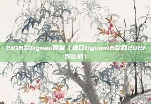 2018款tiguan质量（进口tiguan18款和2019款区别）