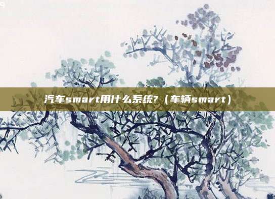 汽车smart用什么系统?（车辆smart）