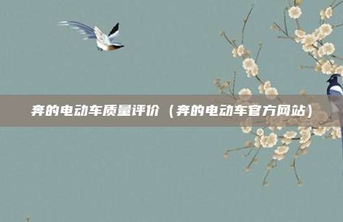 奔的电动车质量评价(奔的电动车官方网站)
