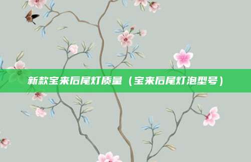 新款宝来后尾灯质量（宝来后尾灯泡型号）