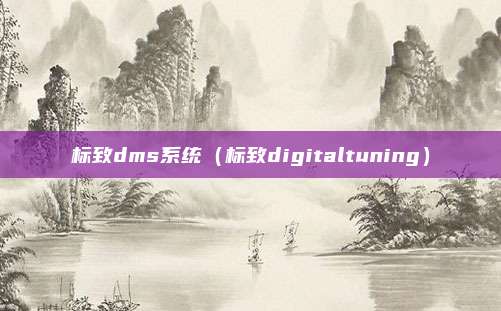 标致dms系统（标致digitaltuning）