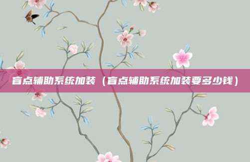 盲点辅助系统加装（盲点辅助系统加装要多少钱）