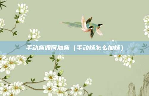 手动档如何加档（手动档怎么加档）