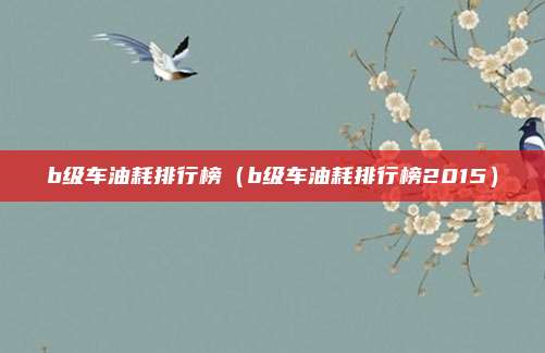 b级车油耗排行榜（b级车油耗排行榜2015）