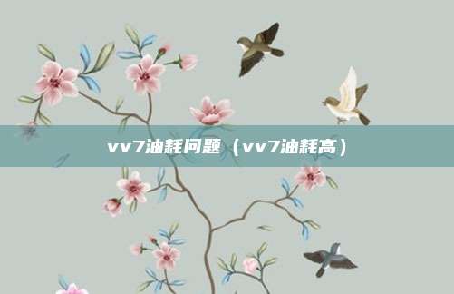 vv7油耗问题（vv7油耗高）