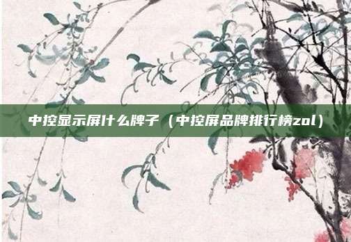 中控显示屏什么牌子(中控屏品牌排行榜zol)